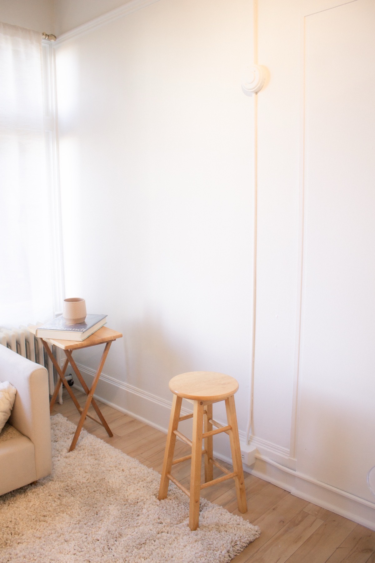 Plant shelf and neutral wall detail in the Studio Rose lounge area.