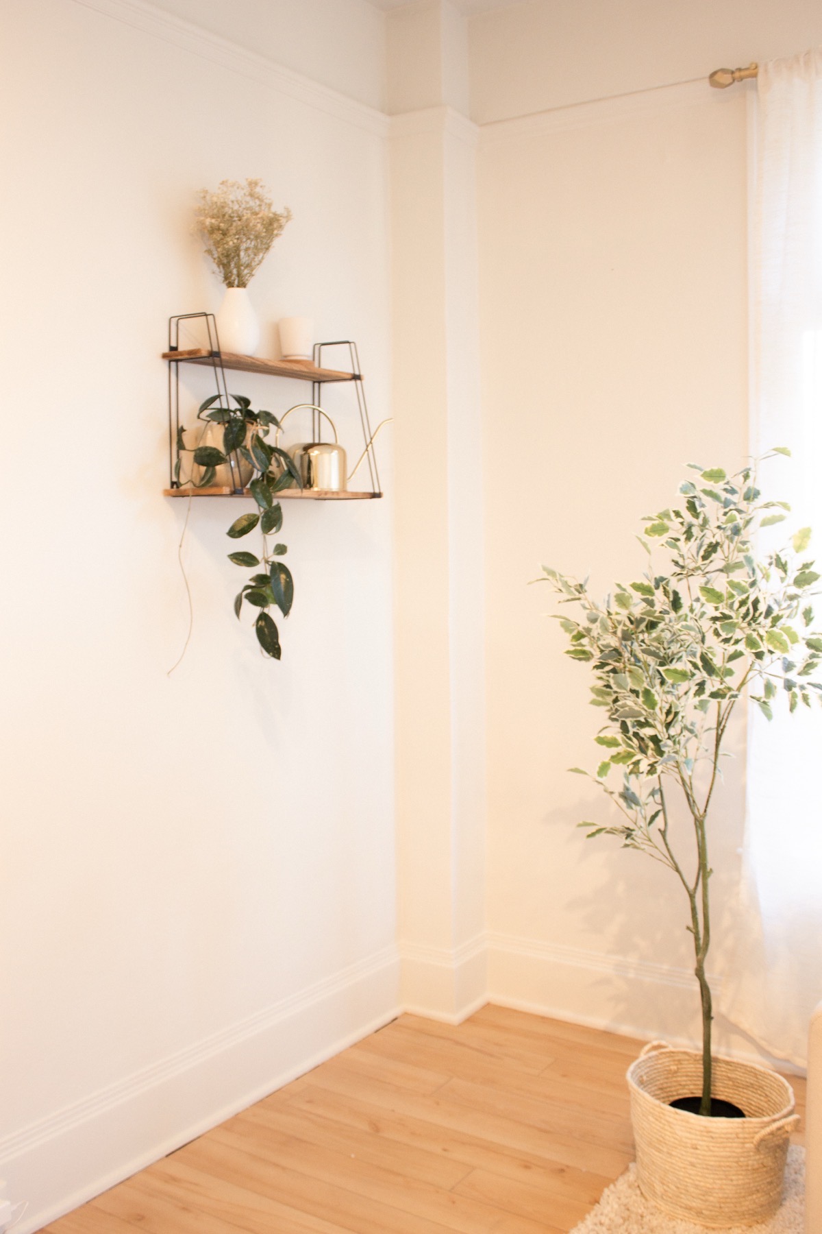 Natural-light Studio Rose corner with plants and soft curtains.